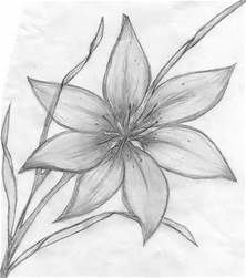 Easy Pencil Sketch Of flower for Beginner